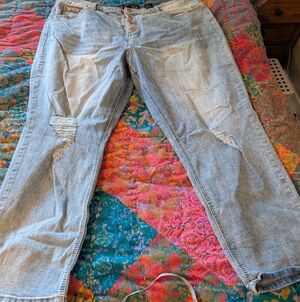 city chic Classic Light Blue Distressed Women Jeans size 20 crop